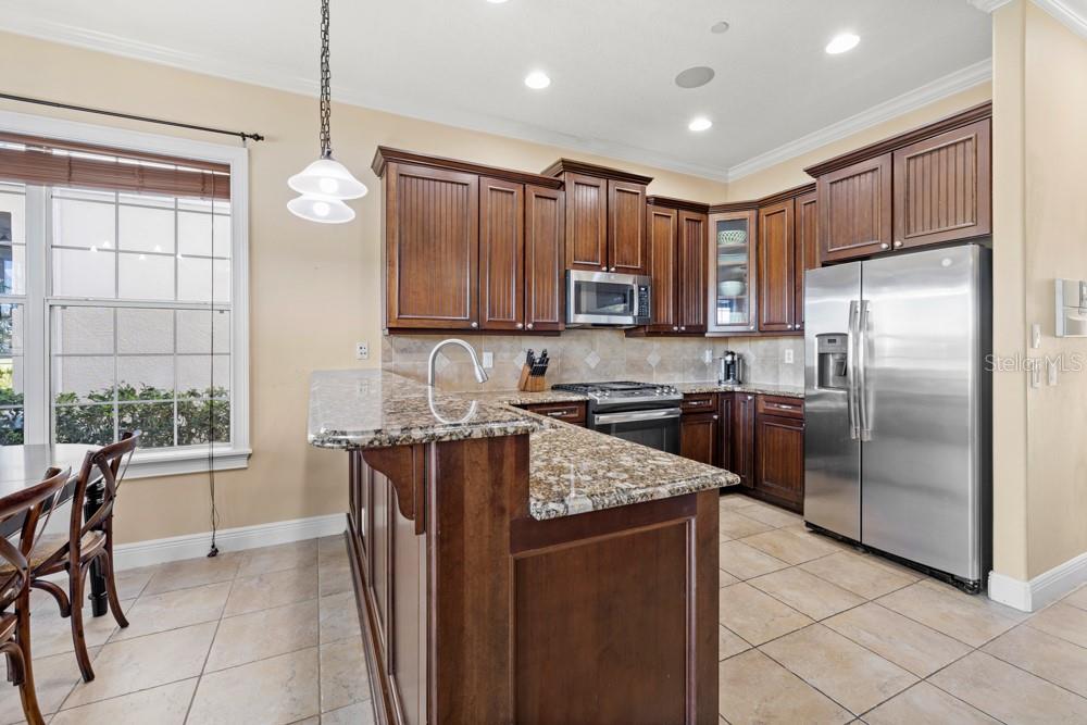 7423 Excitement Drive Reunion, FL 34747 - Photo 10 of 99