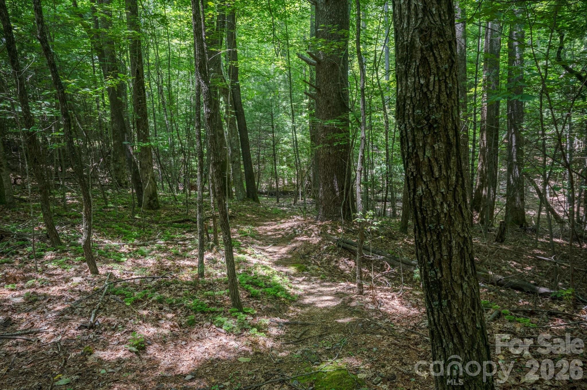 Tbd Reserve Road, Unit 16 Pisgah Forest, NC 28768 - Photo 18 of 18