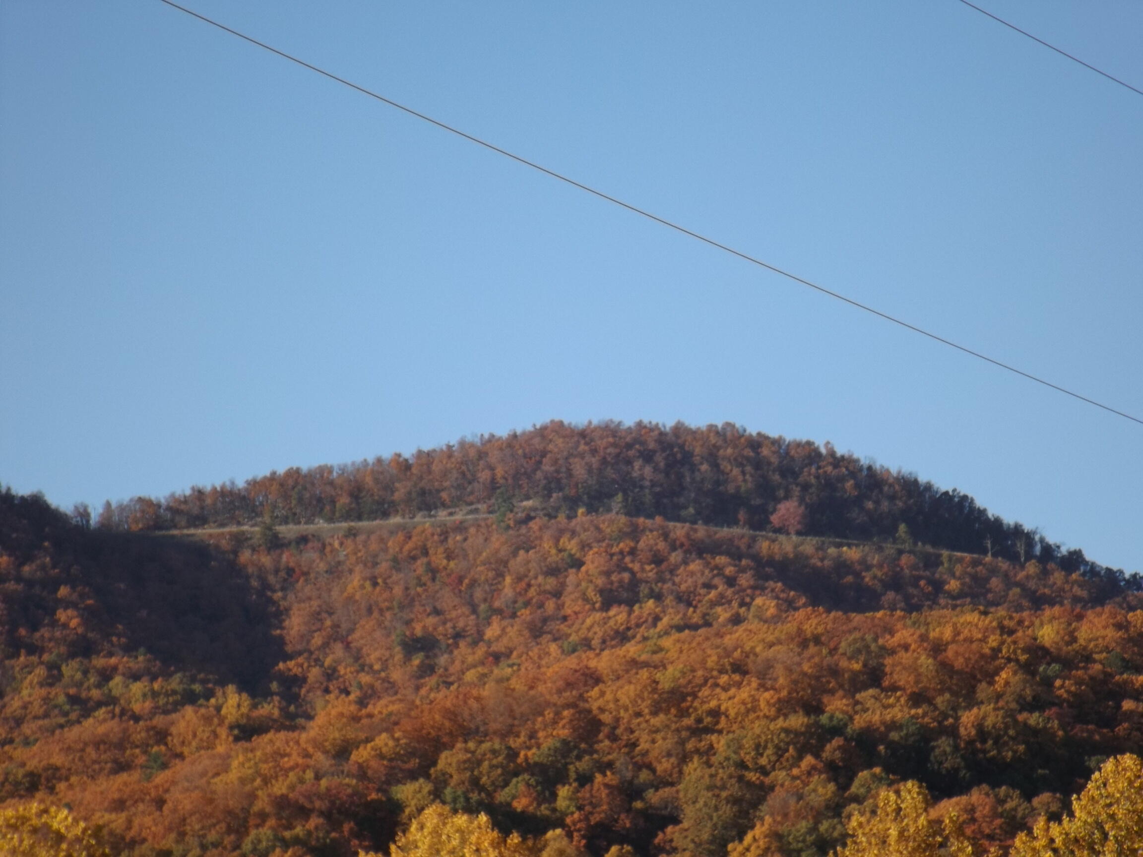2195 Bobblett Gap Road Montvale, VA 24122 - Photo 19 of 21 View of Blue Ridge Parkway