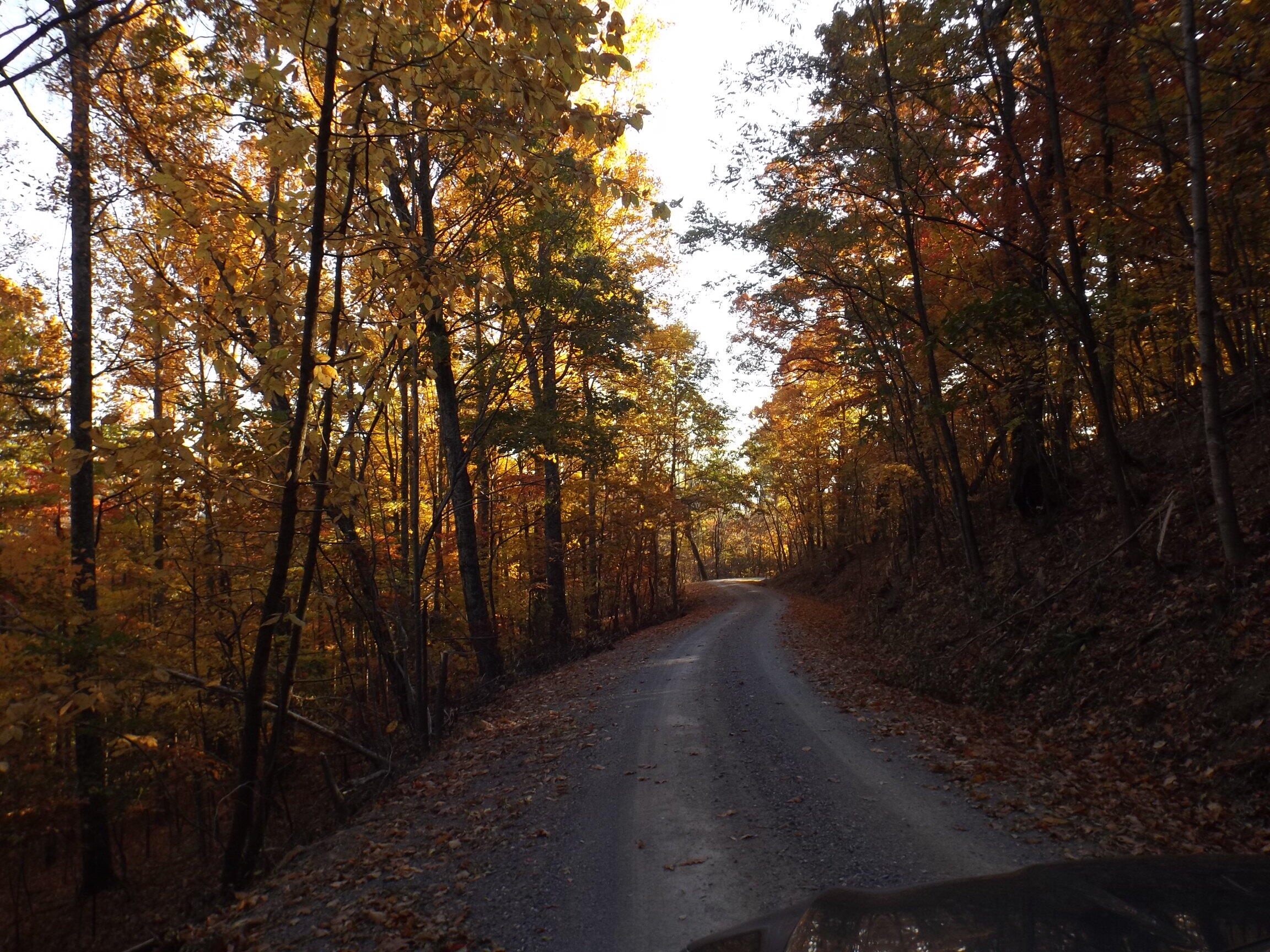 2195 Bobblett Gap Road Montvale, VA 24122 - Photo 20 of 21 Driveway to Home