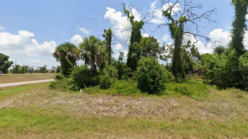 19 Caree Place Placida, FL 33946 - Photo 6 of 6 a view of a yard with plants and large trees