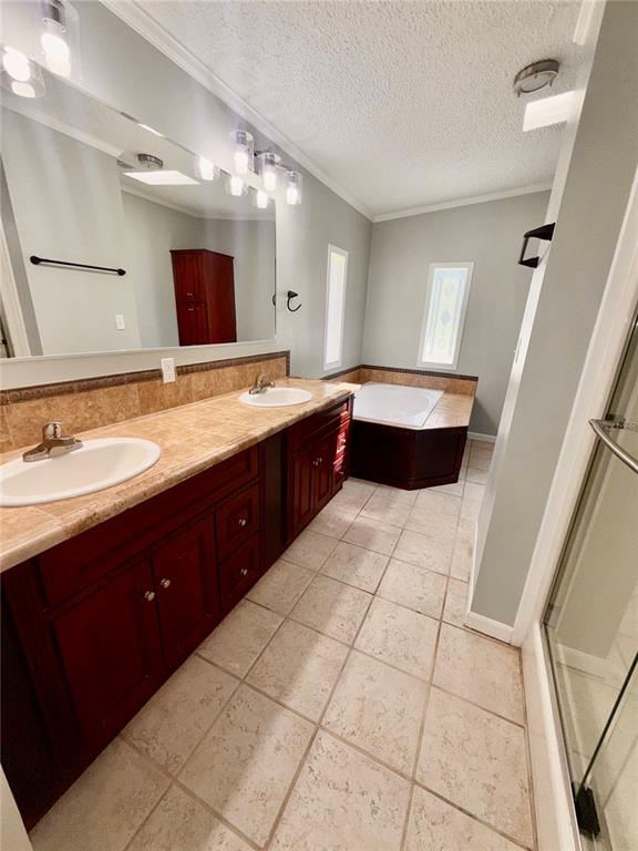 1070 Southwest Mauldin Avenue Lake City, FL 32024 - Photo 25 of 31 a bathroom with a sink a large mirror and a bathtub