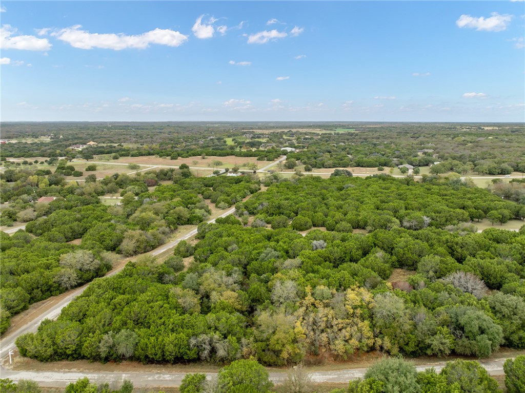 18088 Forrest Drive Whitney, TX 76692 - Photo 1 of 26