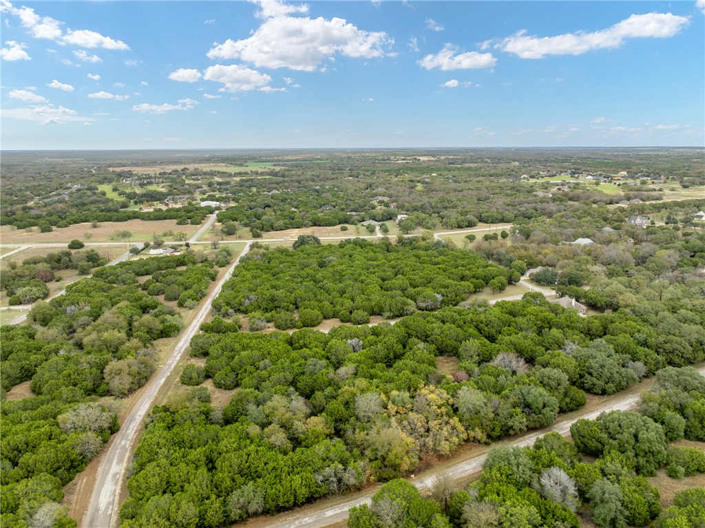 18088 Forrest Drive Whitney, TX 76692 - Photo 2 of 26