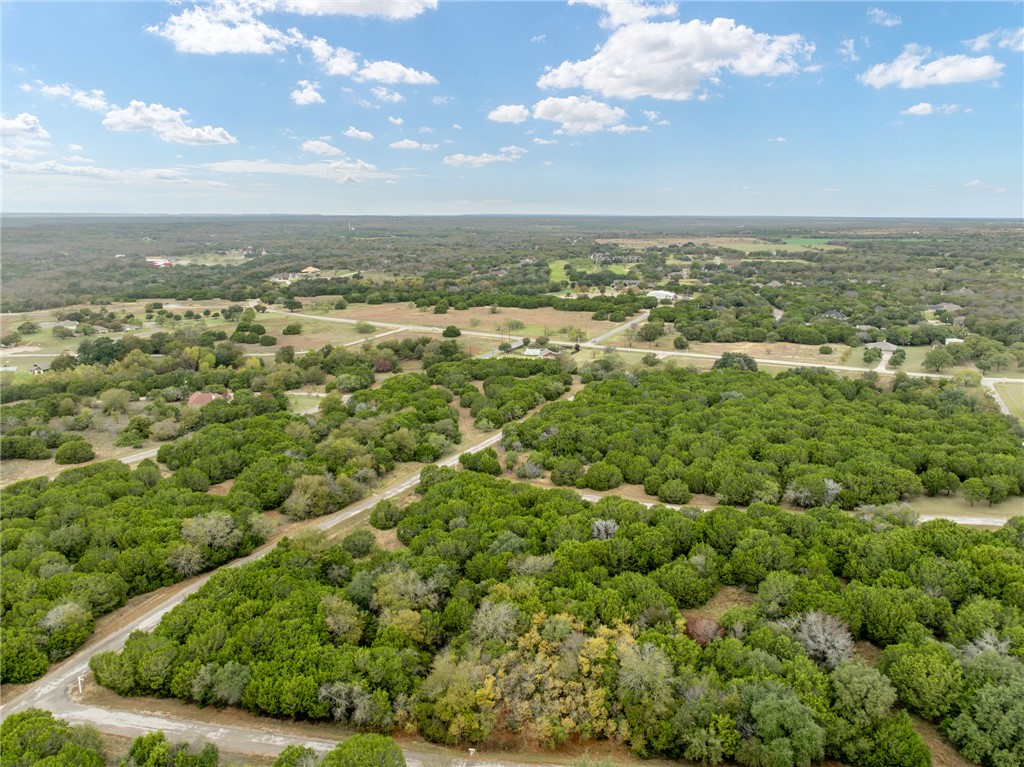 18088 Forrest Drive Whitney, TX 76692 - Photo 3 of 26