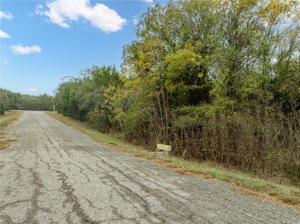 18088 Forrest Drive Whitney, TX 76692 - Photo 4 of 26