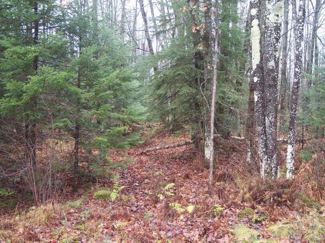 On Lone Pine Road Fifield, WI 54524 - Photo 11 of 16 Gallery Image 11