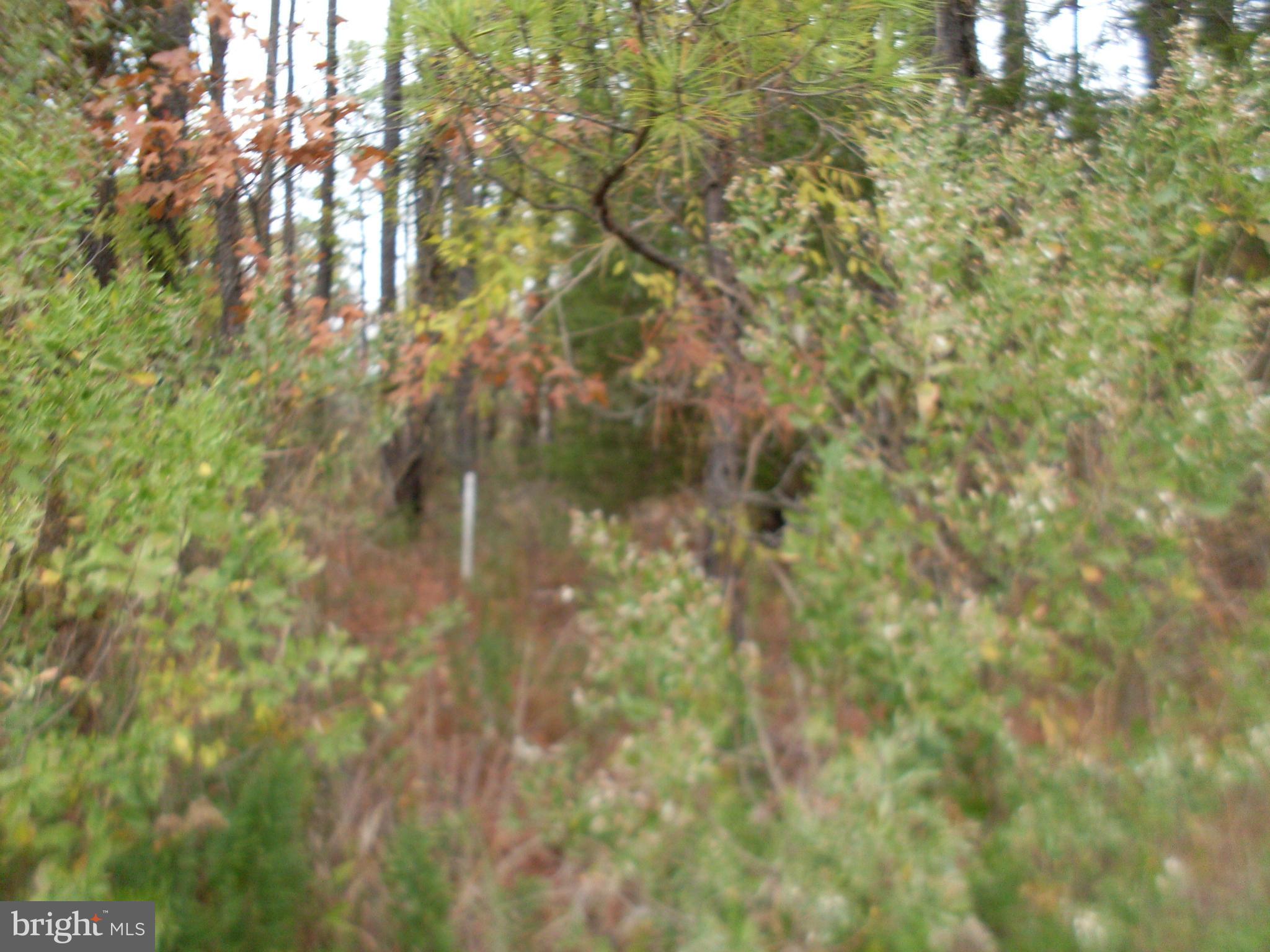 Corner Wharf Rd Lane Cambridge, MD 21613 - Photo 4 of 5 Exterior (General)