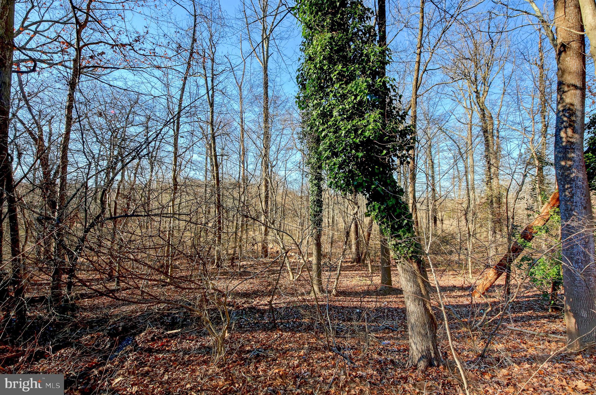 4846 Long View Road Temple Hills, MD 20748 - Photo 37 of 39 Close to parks