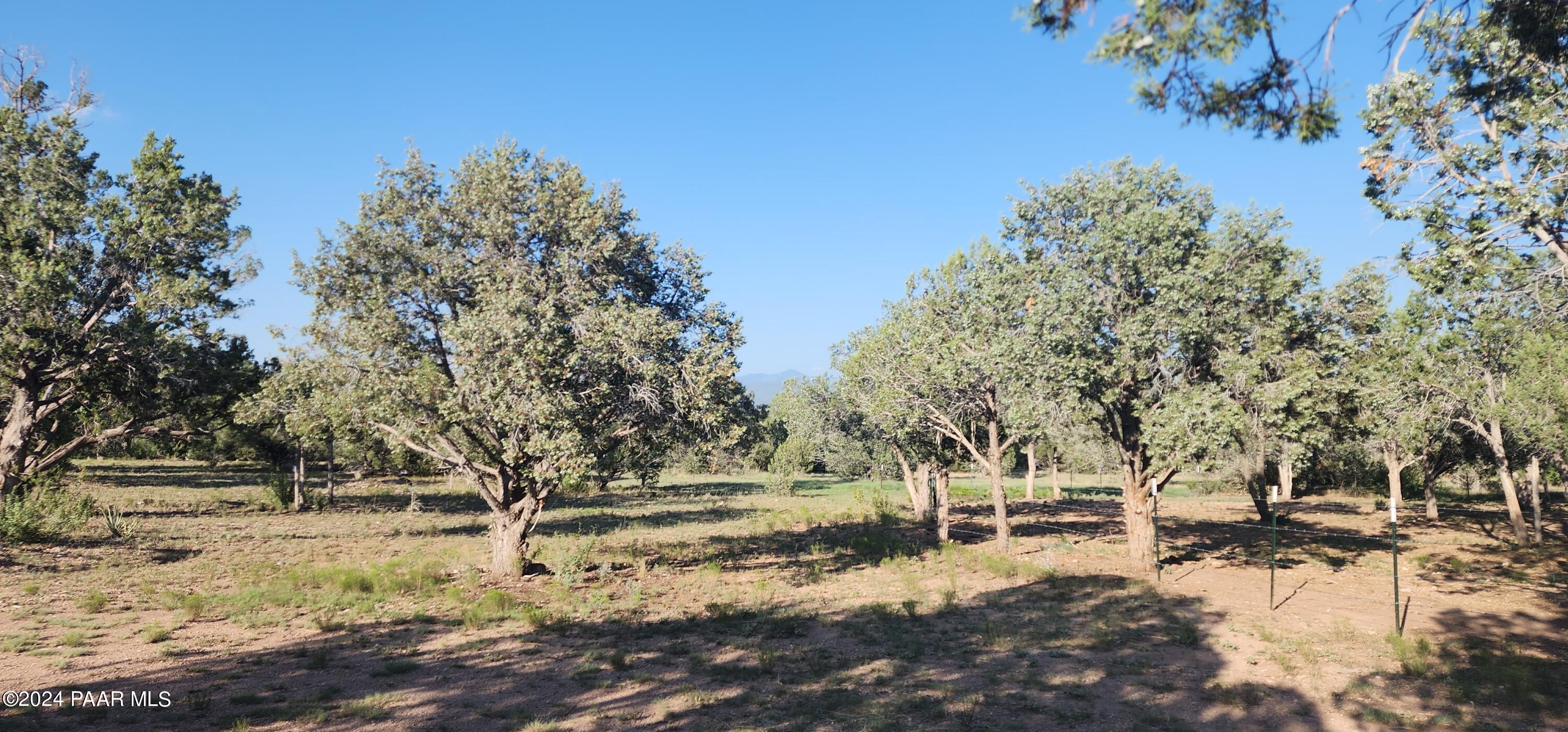 2399 Rattlesnake Road Ash Fork, AZ 86320 - Photo 9 of 16 20240727_173936