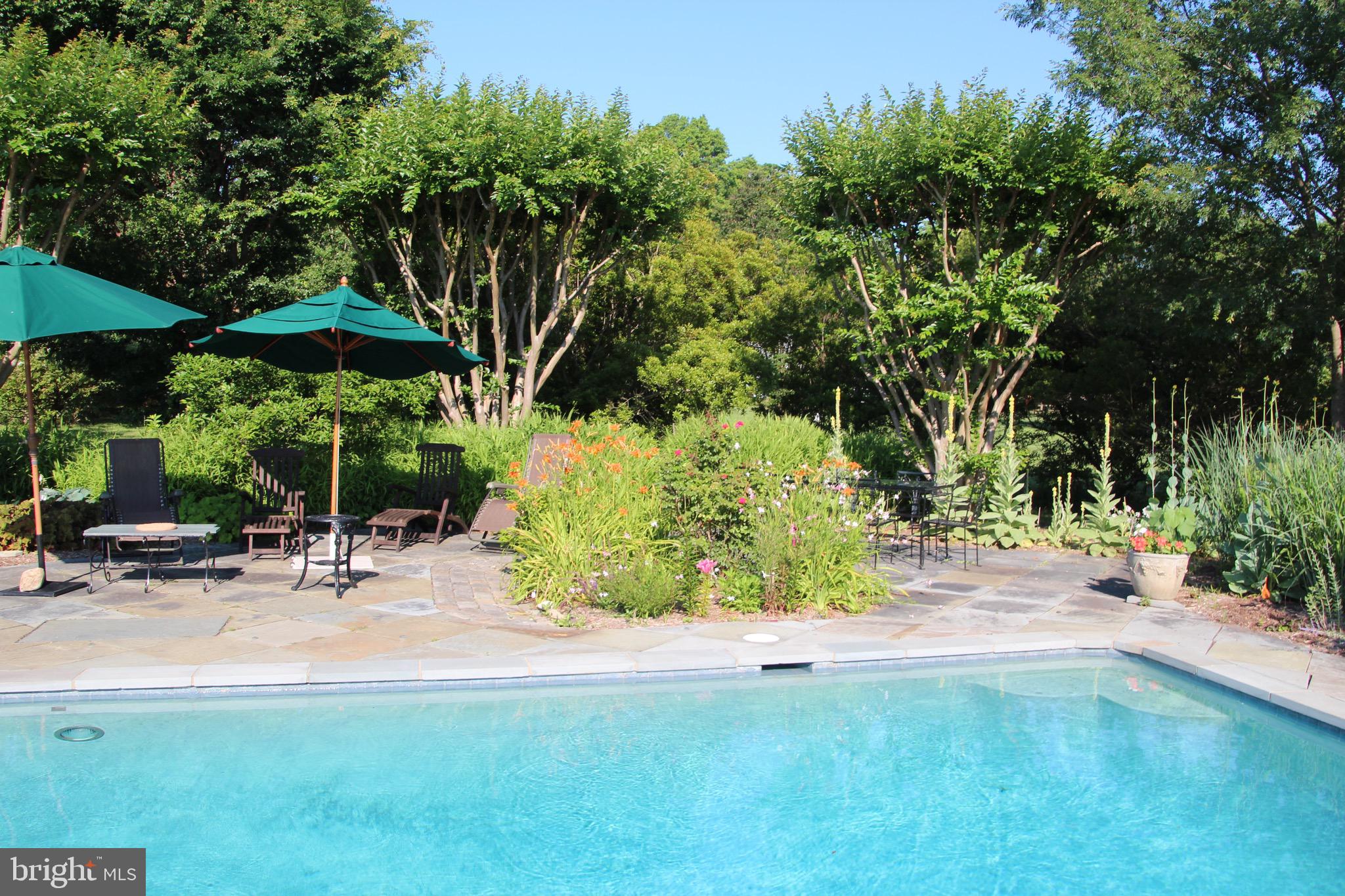 25882 Goose Neck Road Royal Oak, MD 21662 - Photo 40 of 60 Gallery Image 40