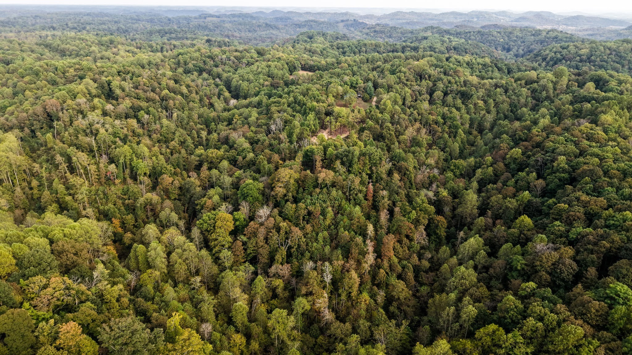 5258 Gravely Hill Road Bethpage, TN 37022 - Photo 18 of 34