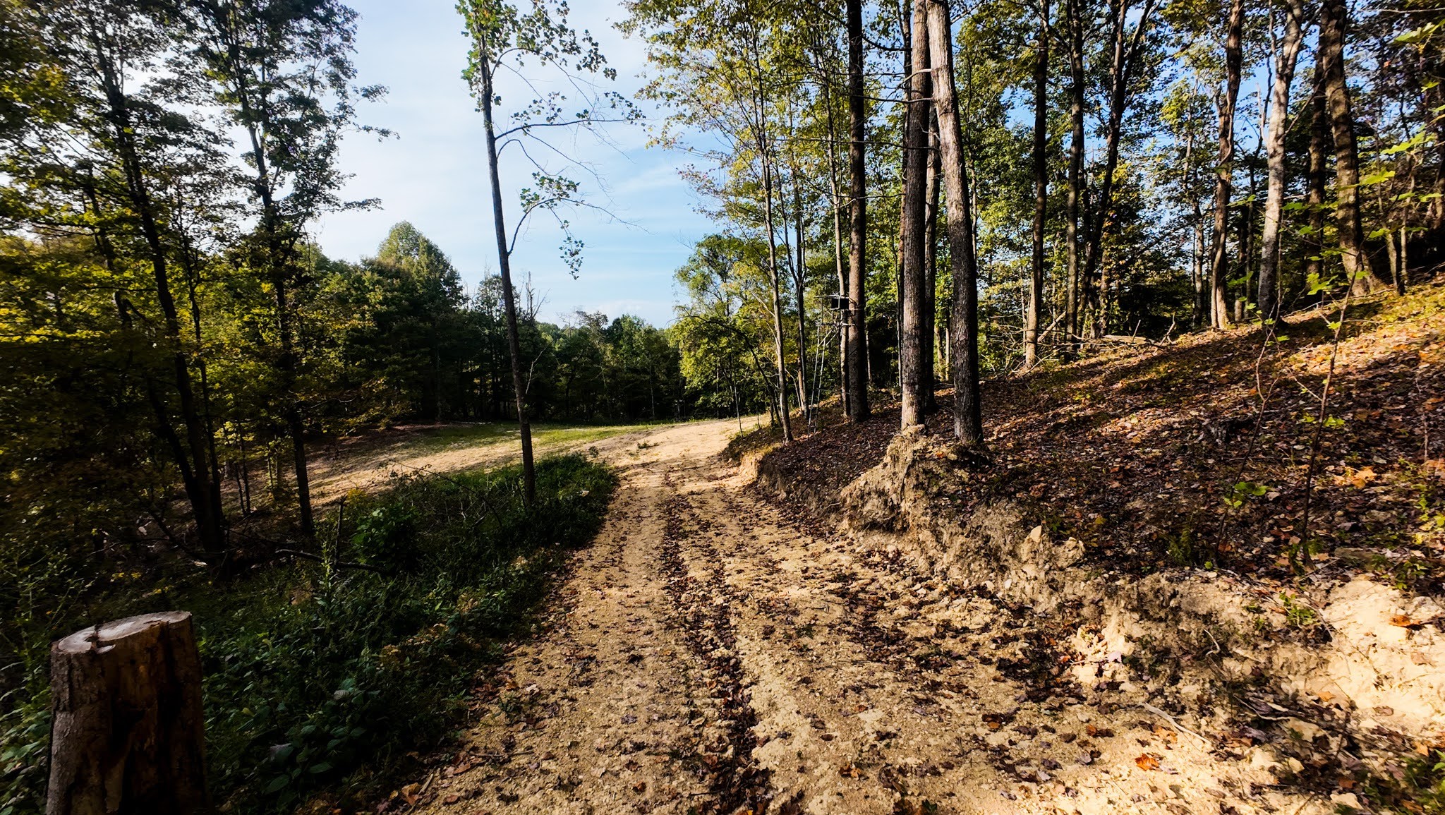 5258 Gravely Hill Road Bethpage, TN 37022 - Photo 4 of 34
