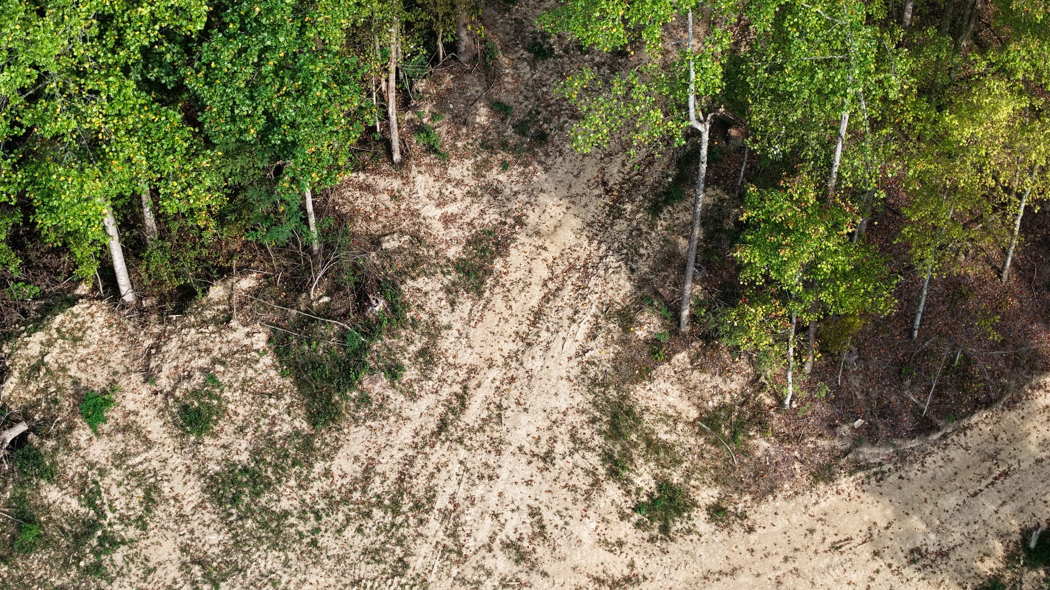 5258 Gravely Hill Road Bethpage, TN 37022 - Photo 9 of 34