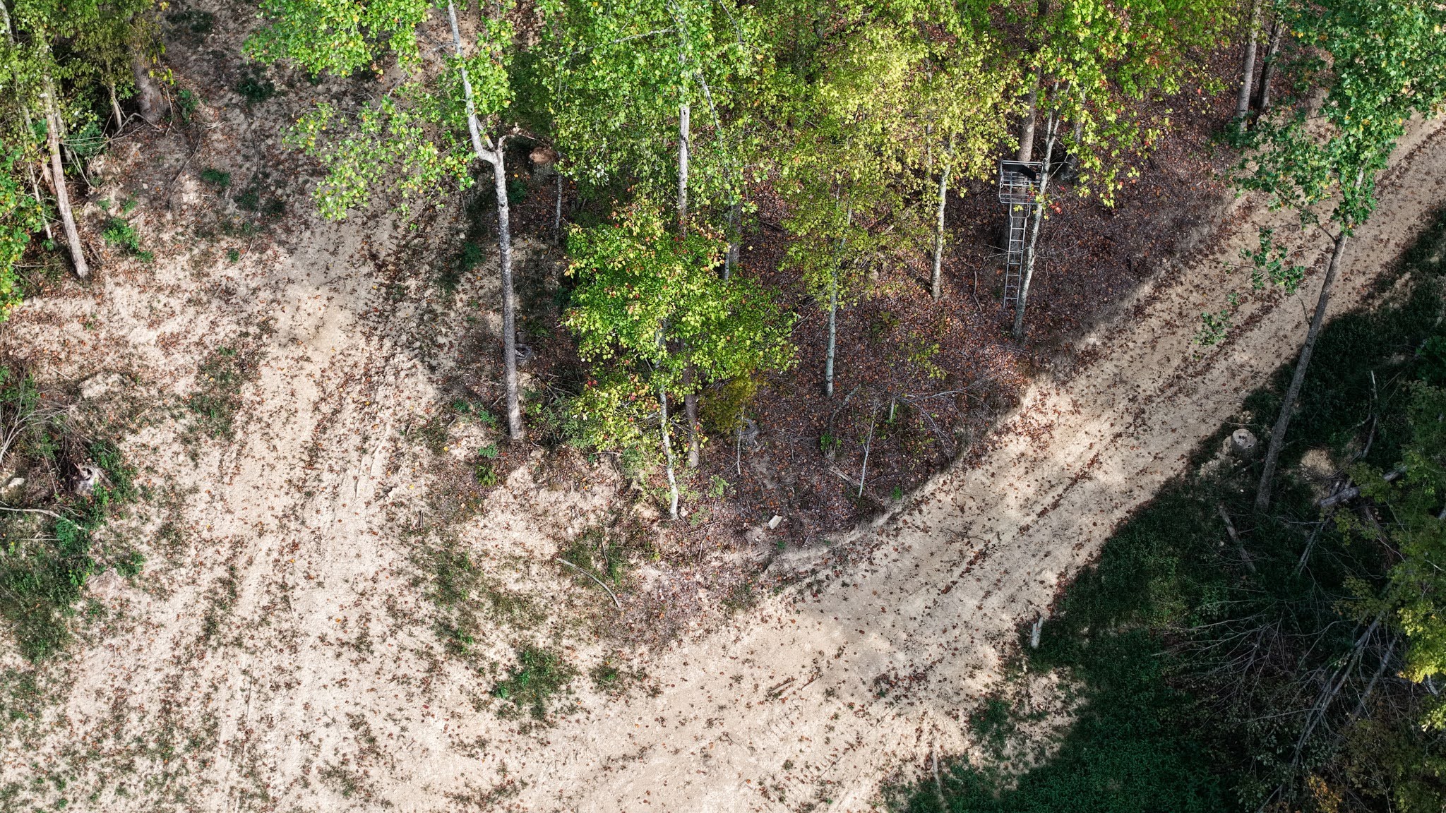 5258 Gravely Hill Road Bethpage, TN 37022 - Photo 10 of 34