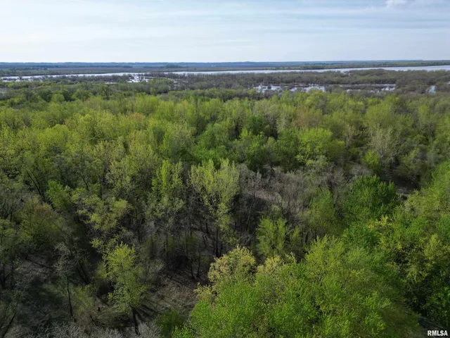 $1,132,560 | 0 Island Lane, Arenzville, IL 62611