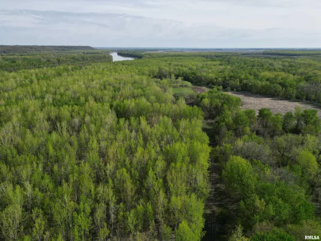 $1,132,560 | 0 Island Lane, Arenzville, IL 62611