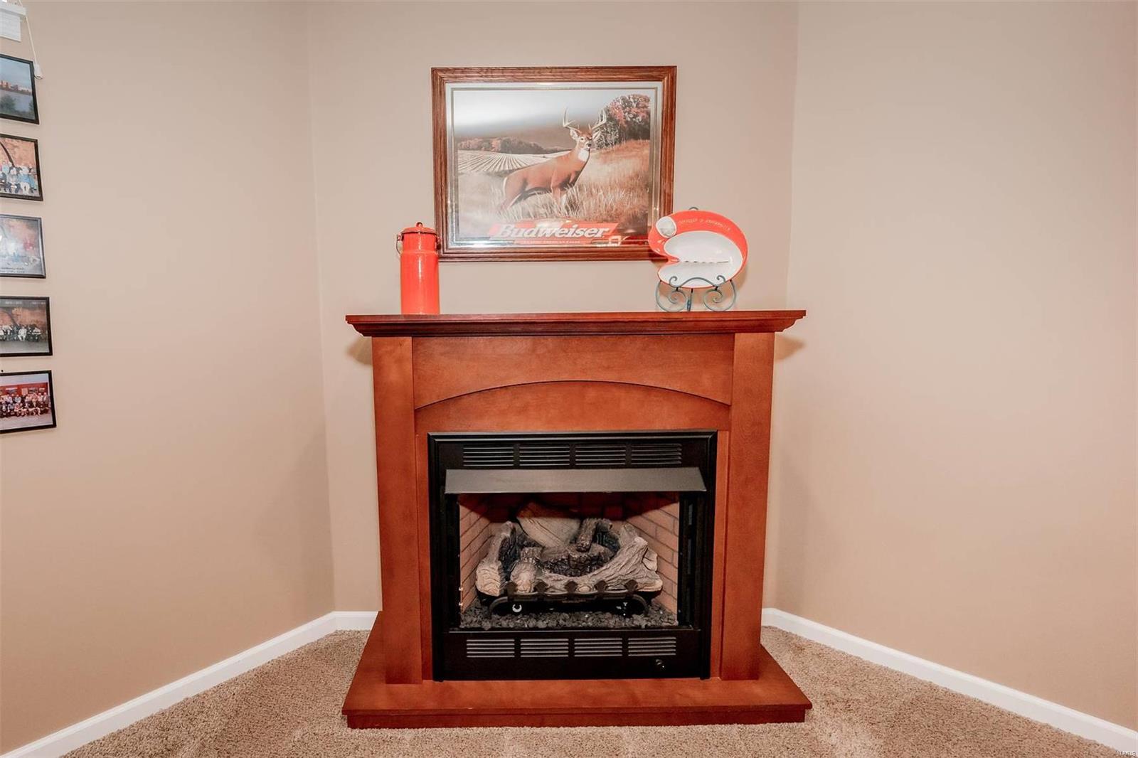 1512 Hollowbrook Drive St. Charles, MO 63303 - Photo 34 of 45