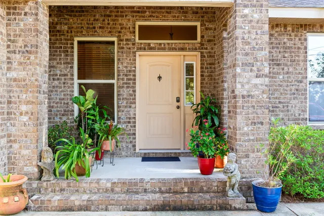 a potted plant sitting in front of a door