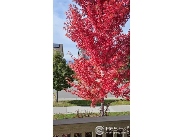 a front view of a building