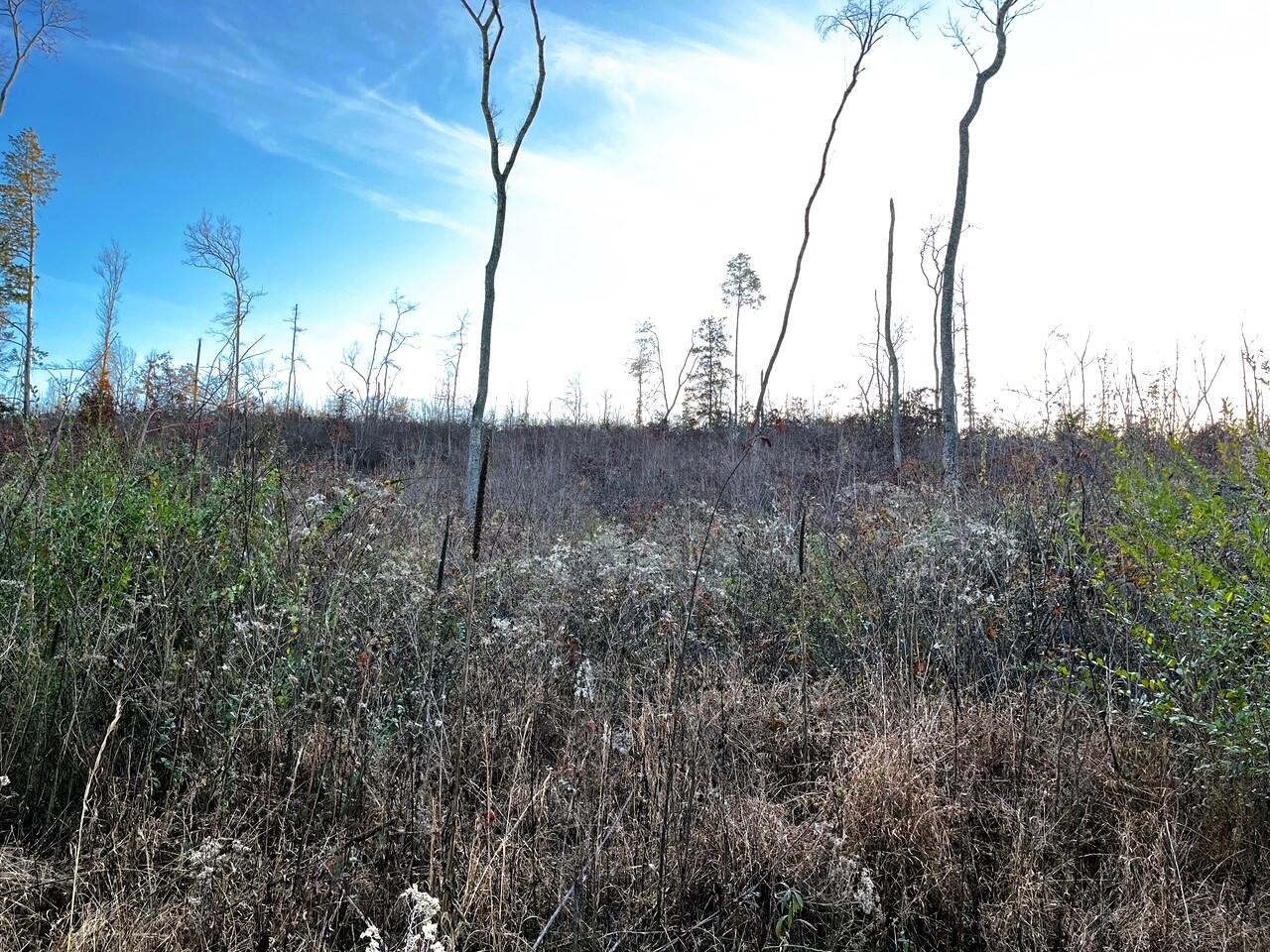 1675 Euchee Road Ten Mile, TN 37880 - Photo 26 of 30