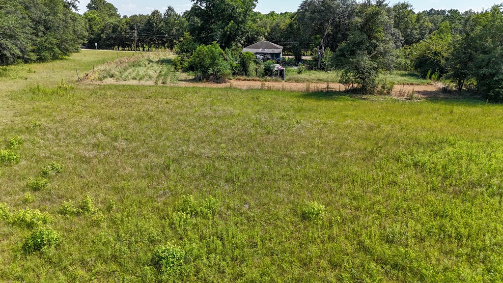 0 Main Street Headland, AL 36345 - Photo 7 of 12