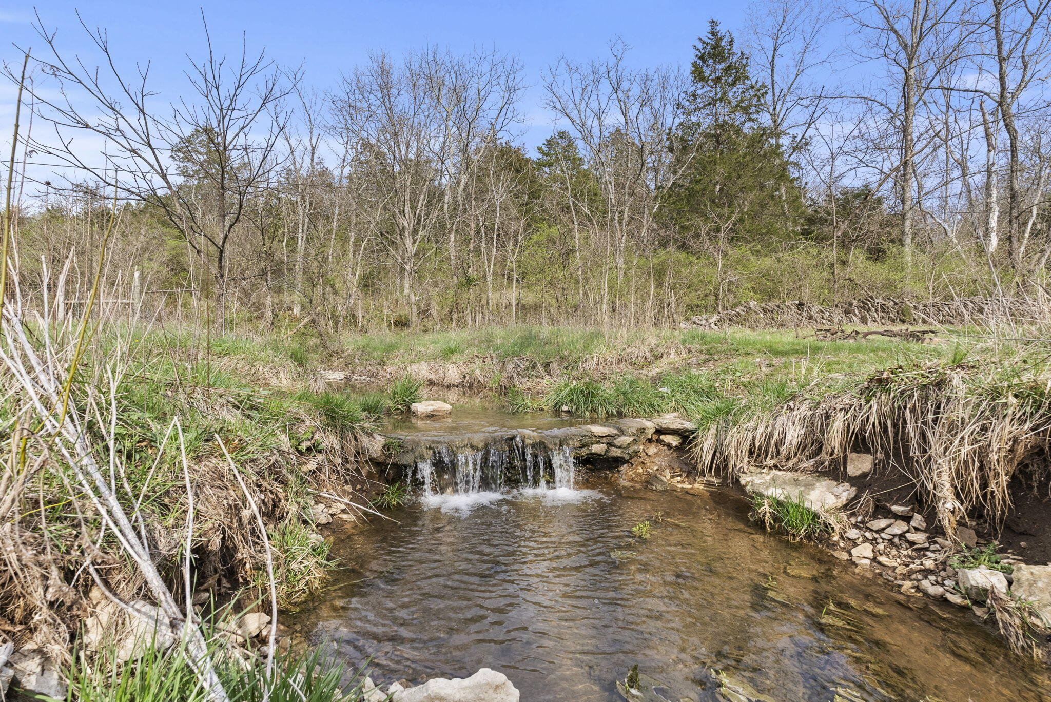 121 Johnson Road Lexington, KY 40515 - Photo 40 of 42 40-web-or-mls-DSC05912