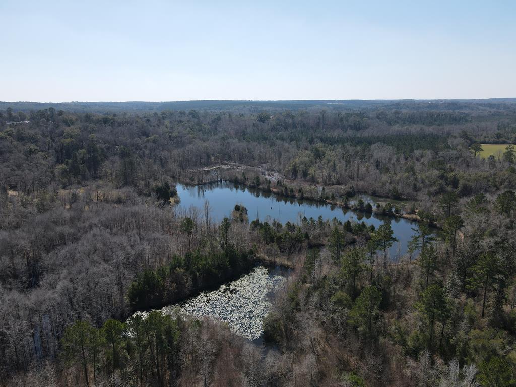 Undisclosed Address Ariton, AL 36311 - Photo 8 of 17