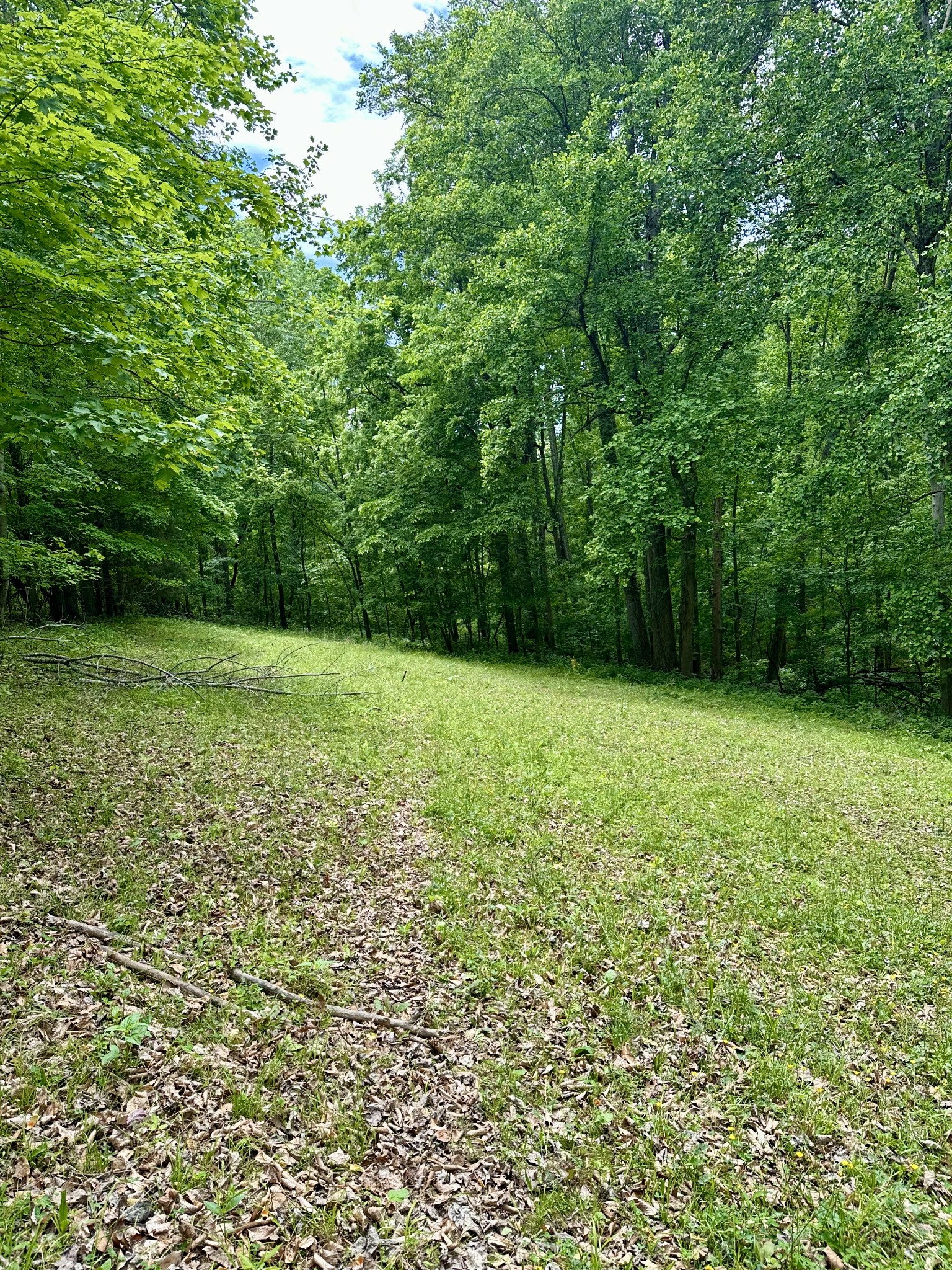 0 Hall Road Greenbrier, TN 37073 - Photo 12 of 28 a view of a green yard