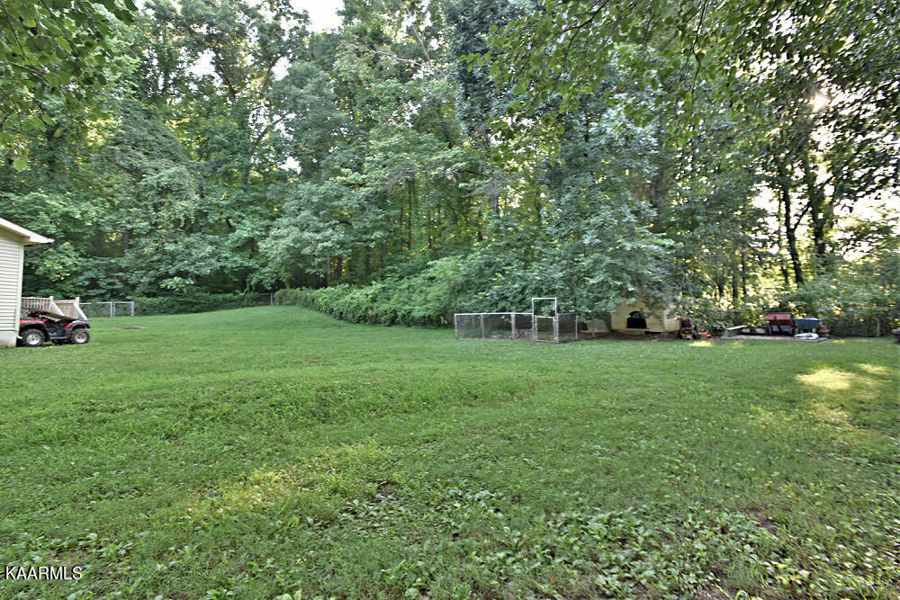 886 Indian Ridge Road Blaine, TN 37709 - Photo 9 of 31 Backyard #2