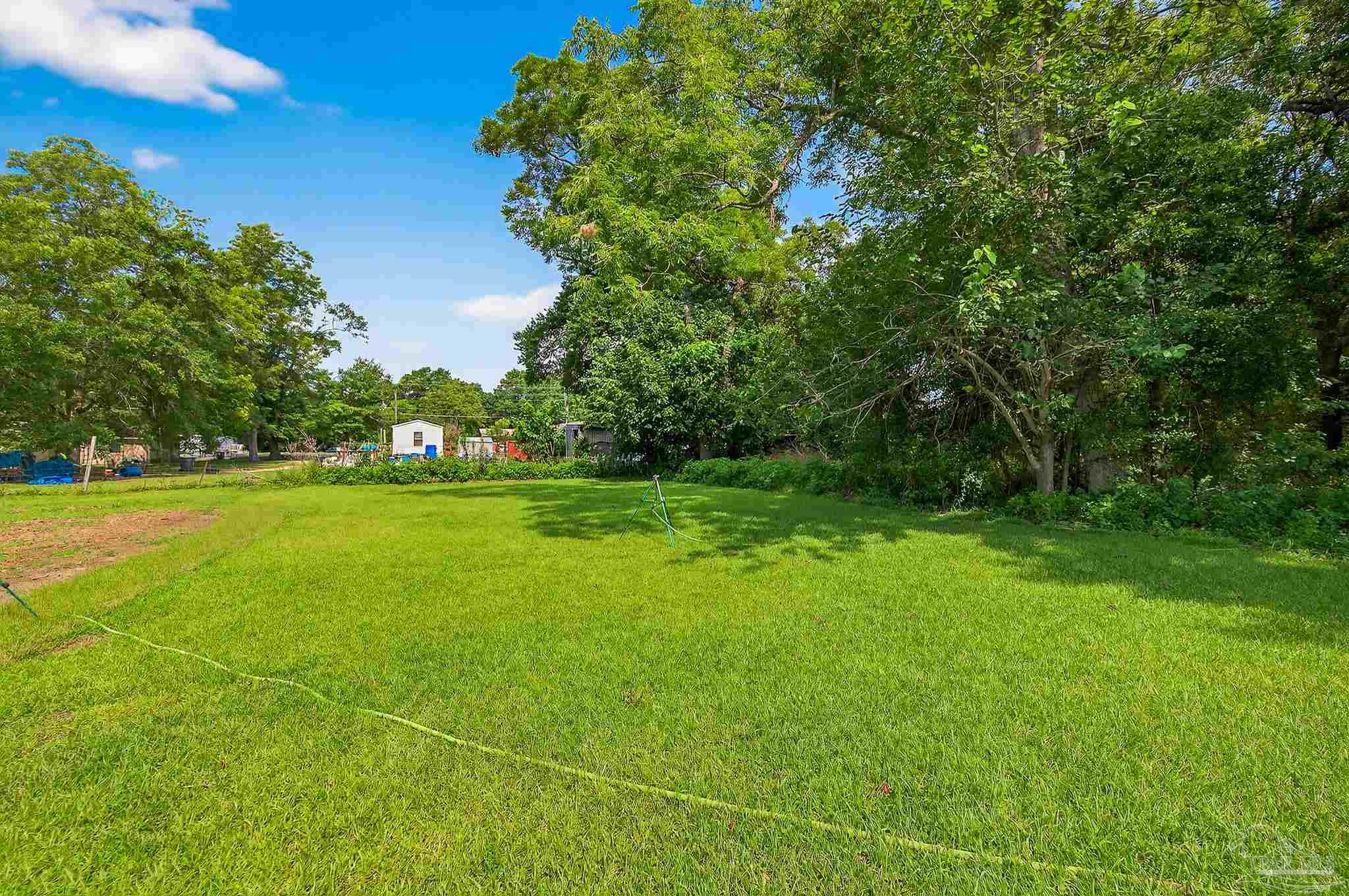 205 Webb Street Cantonment, FL 32533 - Photo 43 of 49 a view of a field with plants and large trees