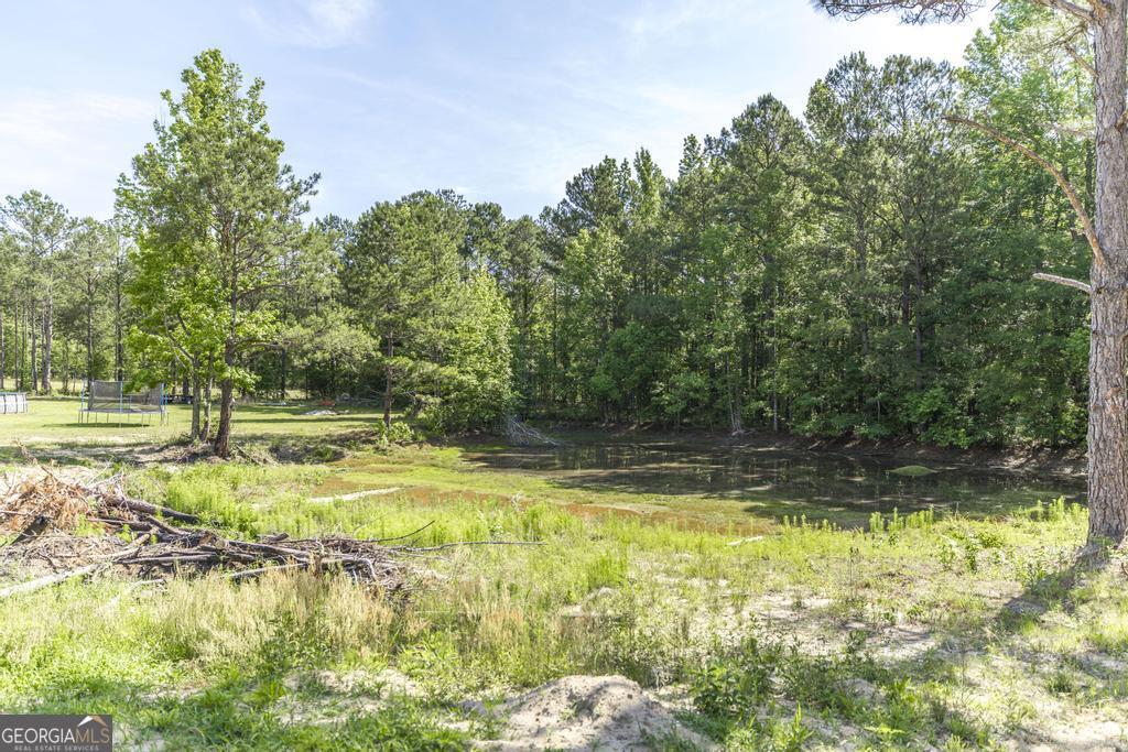 3270 Hamlin Road Lizella, GA 31052 - Photo 49 of 59