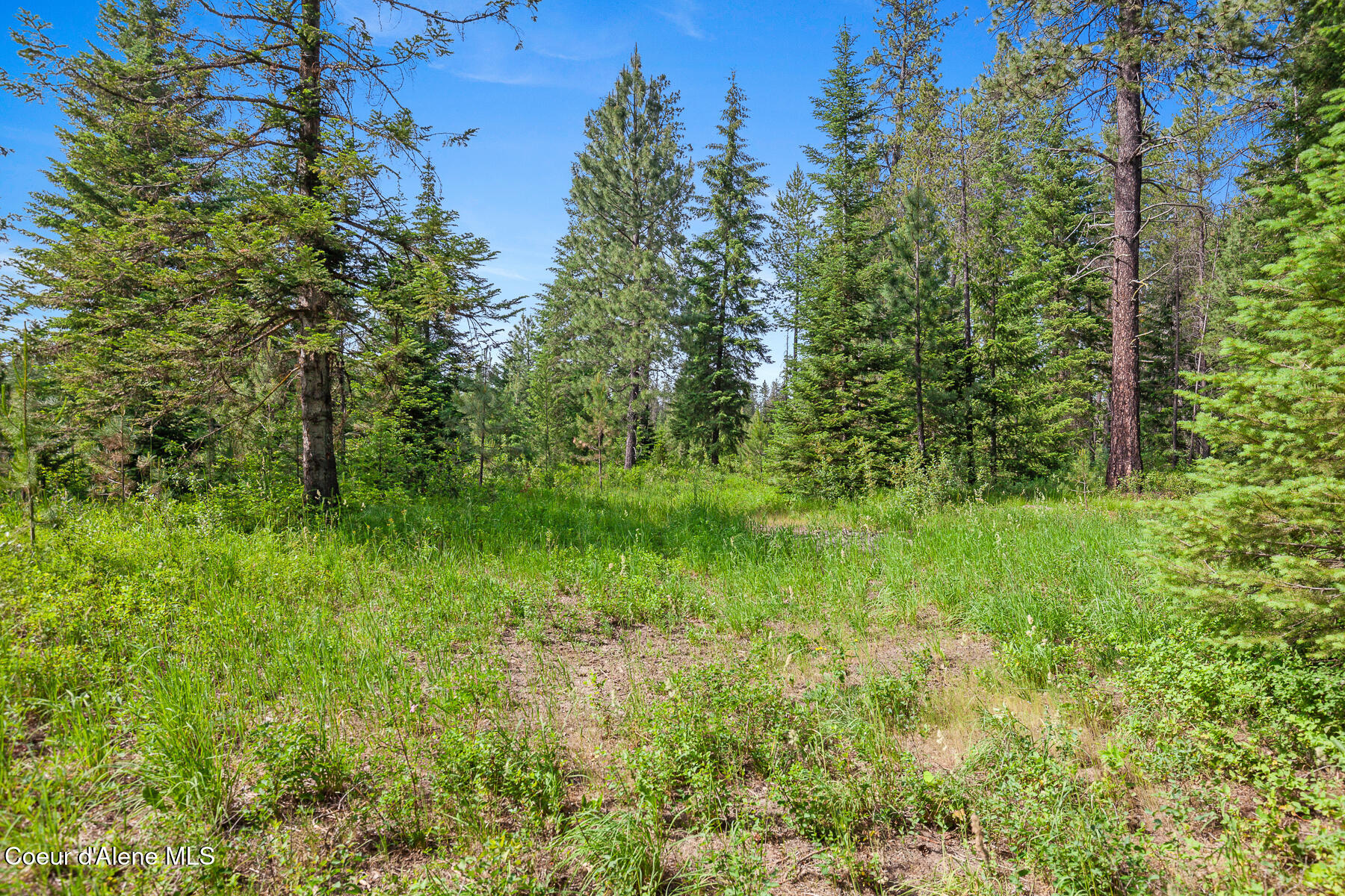 Nka West Camrose Lane Rathdrum, ID 83858 - Photo 4 of 8 A4