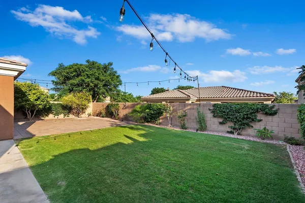 a view of a backyard with plants and a garden