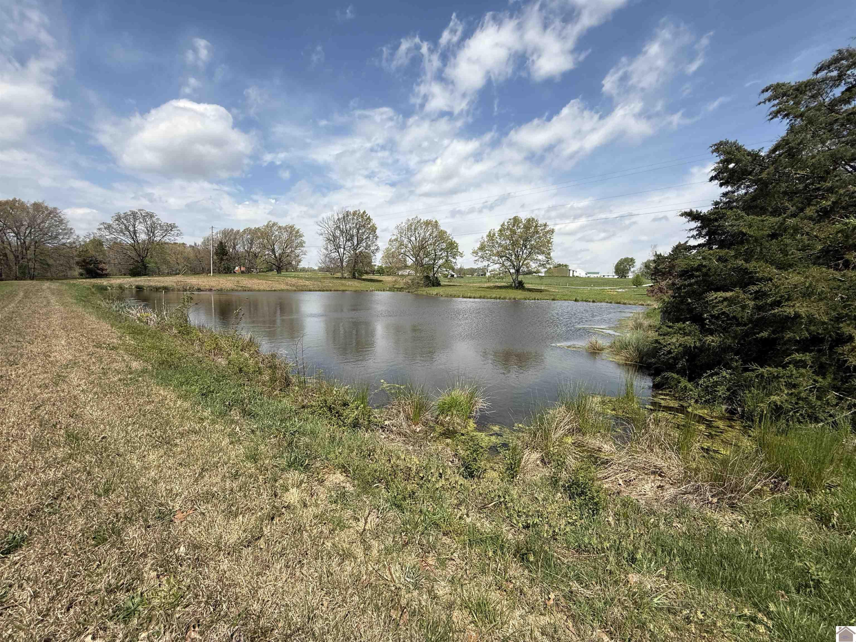1375 Poole Mill Road Crofton, KY 42217 - Photo 13 of 31 Photo 14