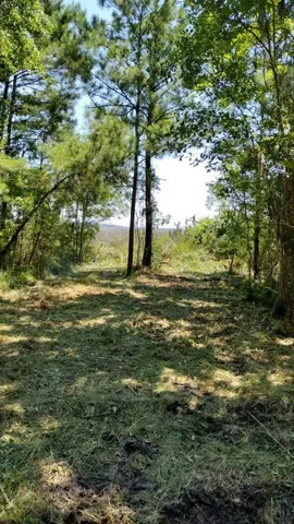 $25,000 | 0 Briar Patch Road Southeast, Townsend, GA 31331