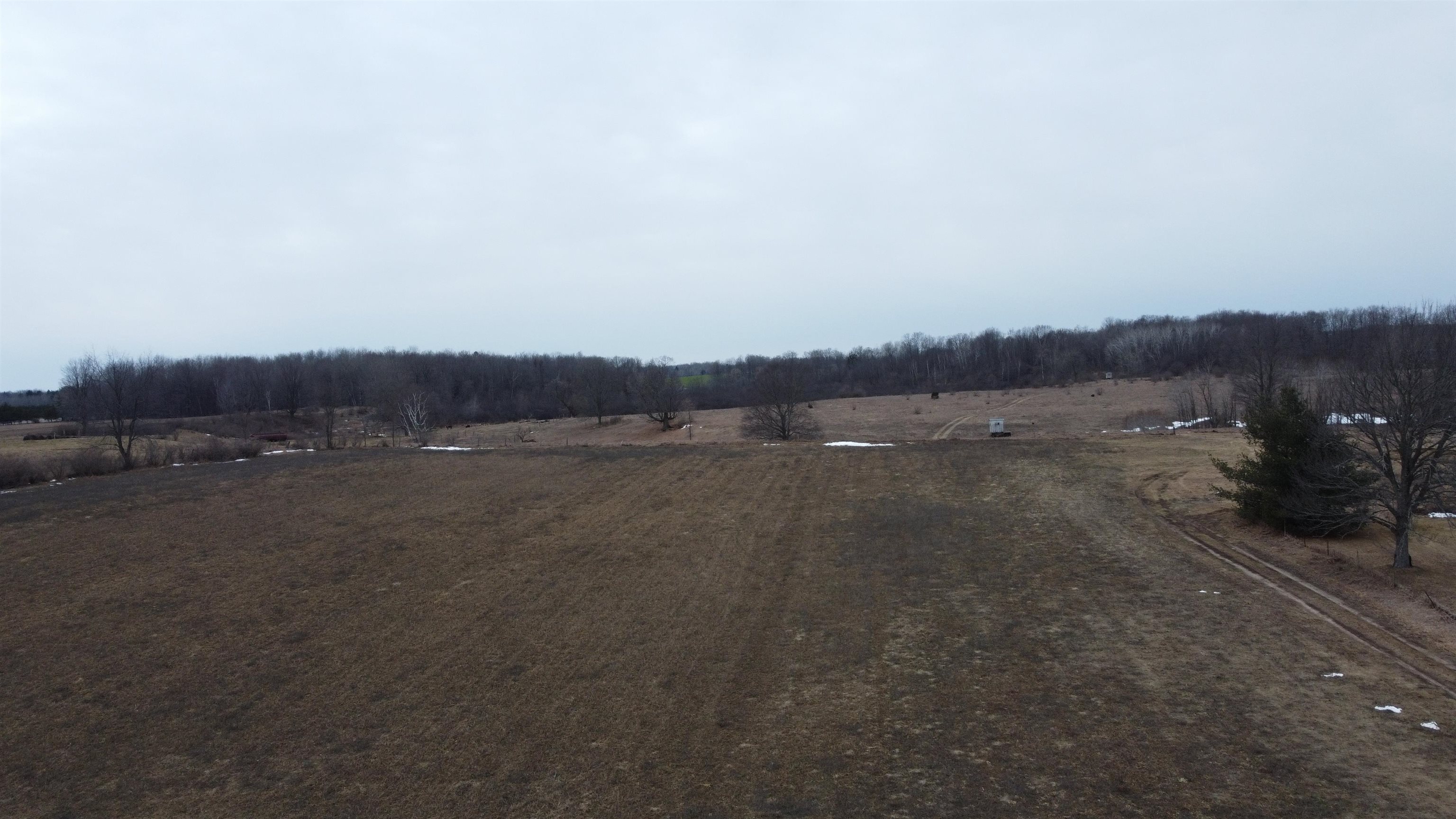 X McCauley Road West Branch, MI 48661 - Photo 20 of 27