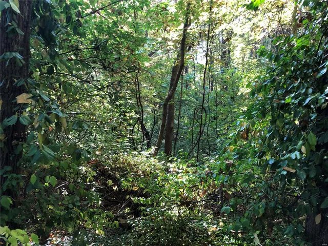 $34,900 | 3420 Rockingham Drive, Florissant, MO 63033