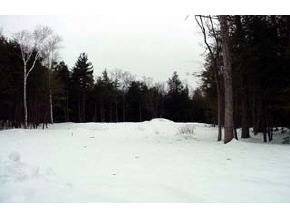 169 Kimball Pond Road Dunbarton, NH 03046 - Photo 3 of 3