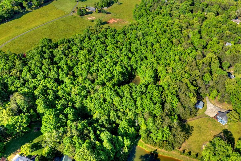8.52 Ac Mcnelley Road Morganton, GA 30560 - Photo 13 of 47