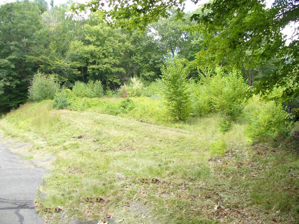 94 Chesterfield Road Williamsburg, MA 01096 - Photo 2 of 4 Gallery Image 2