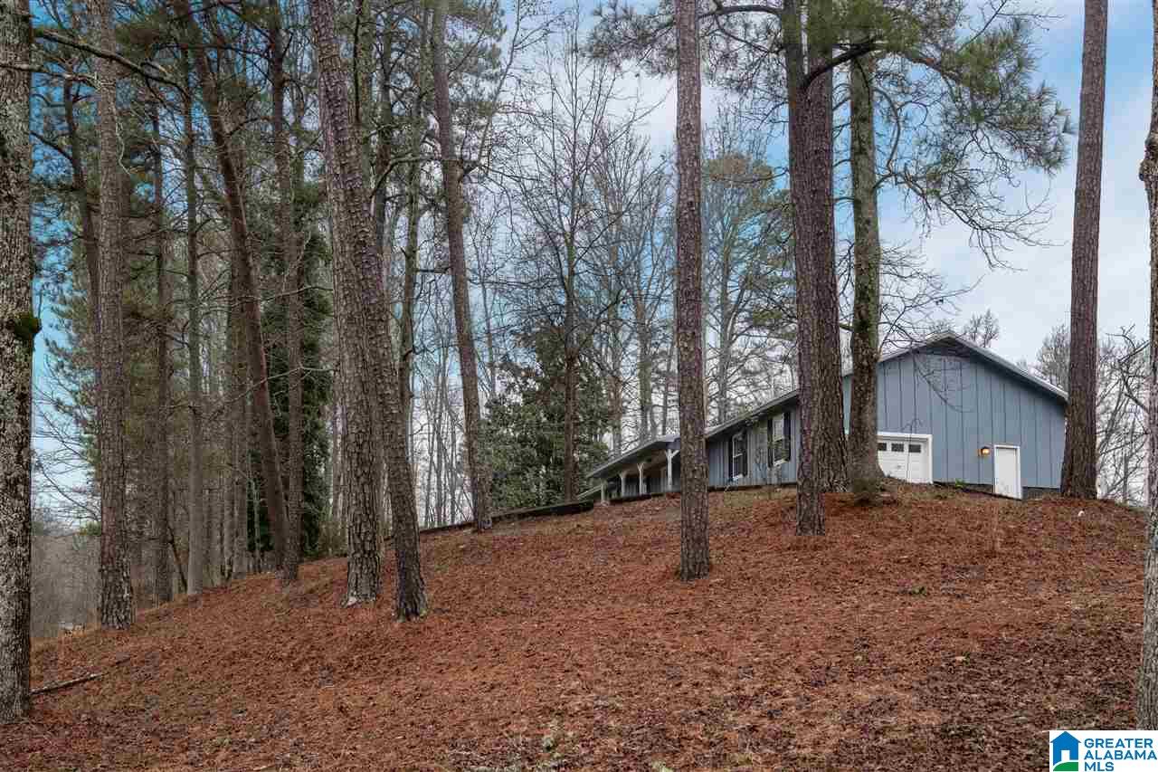 2481 County Road 29 Oneonta, AL 35121 - Photo 23 of 35
