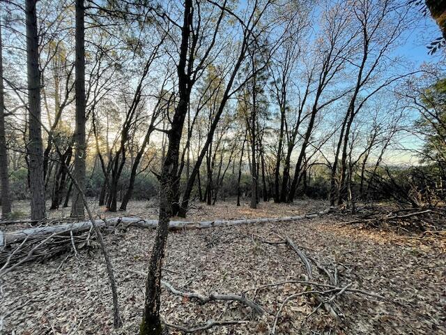 160 Ac Road Oak Run, CA 96069 - Photo 7 of 39 20240322022050668553000000-o
