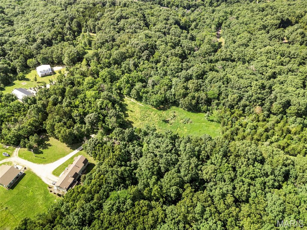 9-acres Timber Ridge Drive Marthasville, MO 63357 - Photo 14 of 22