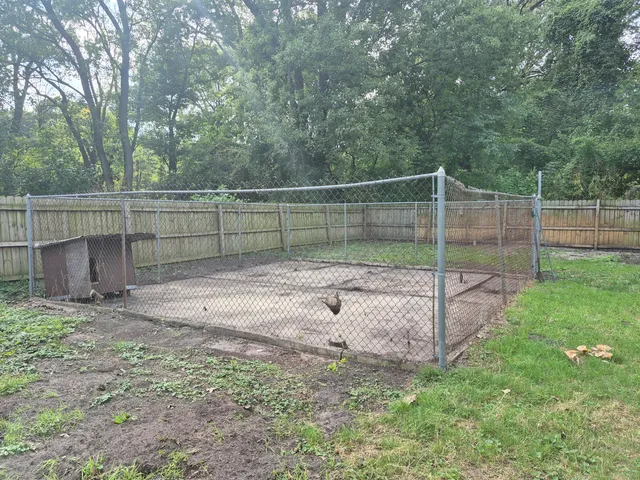 a backyard of a house with lots of green space