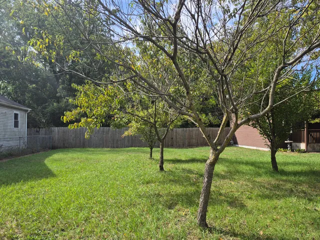 a view of a yard with a tree