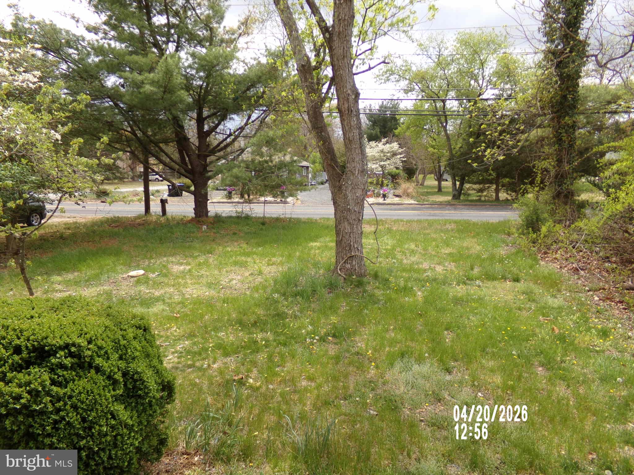 682 Jackson Road Atco, NJ 08004 - Photo 17 of 19 Lush green yard with serene surroundings.