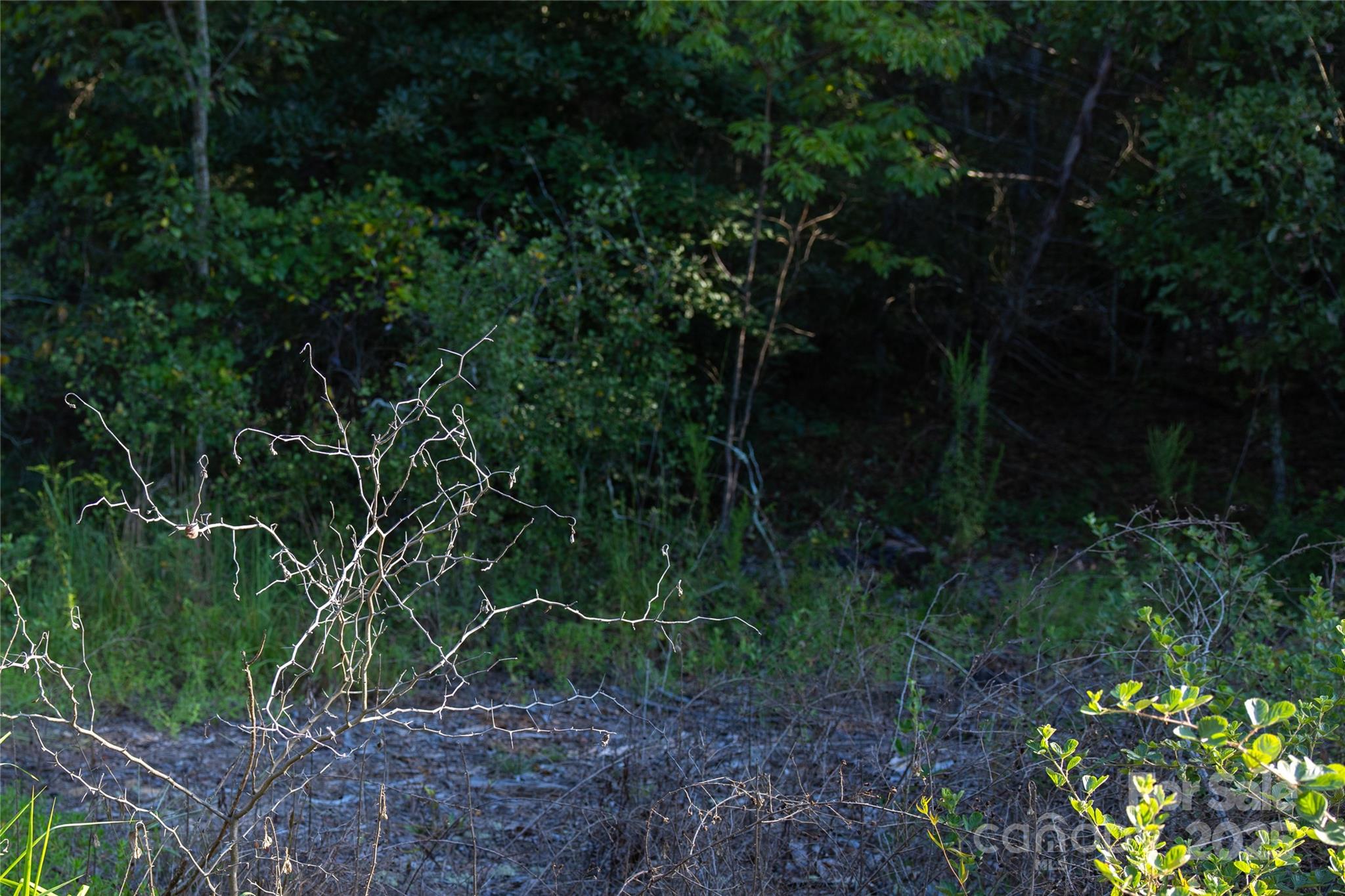1084 Charlie Johnson Road Kershaw, SC 29067 - Photo 12 of 12 Gallery Image 12