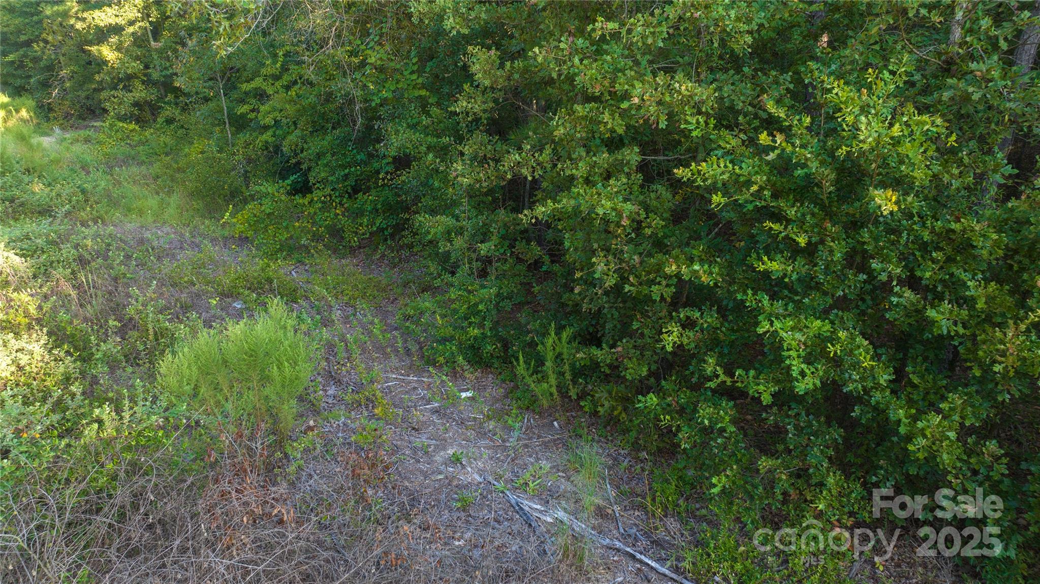 1084 Charlie Johnson Road Kershaw, SC 29067 - Photo 4 of 12 Gallery Image 4