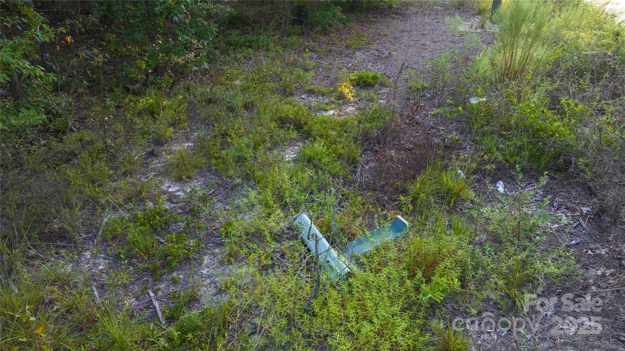 1084 Charlie Johnson Road Kershaw, SC 29067 - Photo 5 of 12 Gallery Image 5